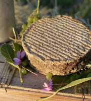 Fromagerie Maurice - Tomme entière affinée au lait cru