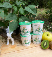 Lait Prairies du Boulonnais - Yaourt fermier brassé à la pomme et kiwi x4