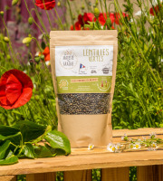 Sa Majesté la Graine - Lentilles Vertes Origine France - sachet 350 g