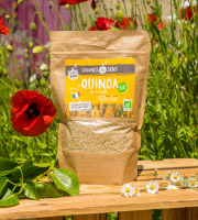 Sa Majesté la Graine - Quinoa blanc BIO Du Berry - cuisson 6min - sachet 500 g