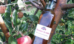 Le Châtaignier - Vinaigre de cidre