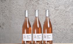 Enclos des Anges - Enclos des Anges Fraticello Rosé 2021 x 3