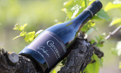 Domaine Daridan - "Gabin" Cheverny rouge - 2020