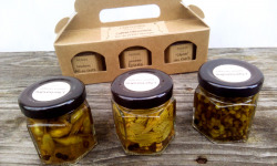 L'herbandine - Trio de Pickles Sauvages – Coffret Cadeau