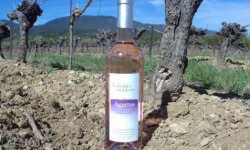 Domaine Les Conques Soulière - Agarrus Vin Rosé IGP Méditerranée 6x75cl