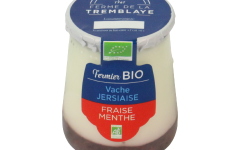 Ferme de La Tremblaye - Yaourt de vache Jersiaise Fermier Bio Fraise & Menthe x1