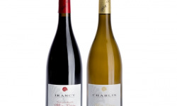 Domaine Tupinier Philippe - Lot de 2 Vins AOC : Chablis 2020 et Irancy 2018- 2 Bouteilles