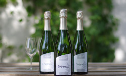 Domaine de l'Ambroisie - Enigme Brut 3x75cl