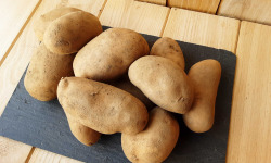 Gourmets de l'Ouest - Pommes de terre de Saint-Malo