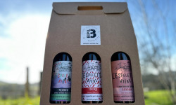 Bipil Aguerria - Pack de 3 bières artisanales de 75cl BIPIL