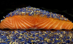 Thierry Salas, fumage artisanal - Pavé de saumon fumé, ail des ours et fleurs de bleuet - 500g