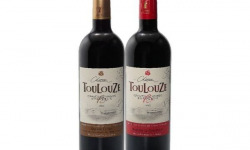 Château des Plassons - 1 Château Toulouze Cuvée Fruitée 2015 + 1 Château Toulouze Grande Cuvée 2018