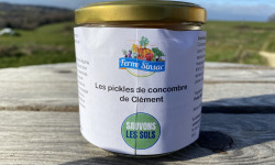 Ferme Sinsac - Concombres marinés à la coriandre fraiche Bio