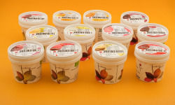 Le Jardinier Glacier - Lot de 12 Sorbets