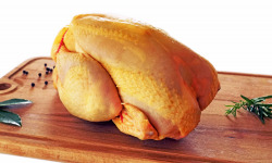 La ferme d'Enjacquet - Poulet Fermier Label Rouge Gers 1,3 Kg