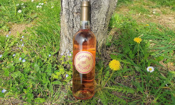 Domaine de Pilhoy - Vin Rosé AOC Bordeaux - 75cl