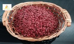 Au bon Jardinet - Haricots Rouge 250g