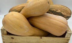 Le Panier du Producteur - Courge de Nice - 1kg