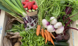 Le Potager de Sainte-Hélène - Panier de légumes bio de saison - 4kg