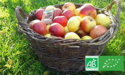 Les Jardins de Karine - POMMES "visitées"-en mélange-10kg