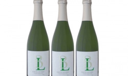 Bonas Lisse Vignoble - Baron de Lisse, Méthode Traditionnelle, Brut x3