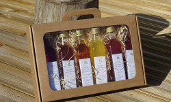 TK Bio - The Kefir et Kombucha Compagnie - Valisette – Coffret Cadeau Vinaigres