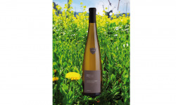 Domaine Rieflé-Landmann - Alsace Grand Cru Steinert Pinot Gris BIO 2019 (1x75 cl)