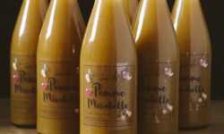 La Ferme des Prun’Elles - Lot de 6 Jus Pomme Mirabelle