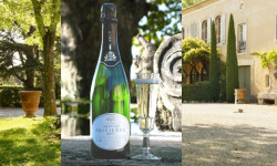 Château Saint Estève d'Uchaux - VIN DE FETES - Brut Chardonnay Blanc de Blancs Méthode Traditionnelle