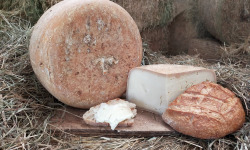 La ferme Lassalle - Fromage de Brebis AOP Ossau-Iraty Fermier de Printemps - le quart de 1kg