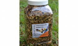 Trapon Champignons - Chanterelles Jaunissantes Sechées - 500 G