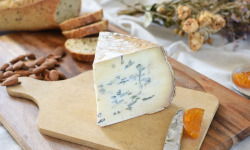 Terdivanda - Bleu des Bauges, 350g