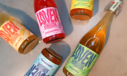 Brasserie L'Indispensable LOVEN Kombucha - Kombucha Pack Découverte - 6x75cl