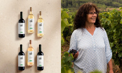 Oé - Coffret 6 Vins Bio Oé