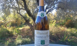 Domaine des Bernardins - Domaine des Bernardins - Muscat de Beaumes de Venise 2022