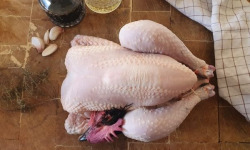 EARL Plumes et Laines - Poulets Fermier par 3 (1.4 / 1.8/ 2 kg)