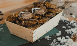 Thalassa Tradition - Huîtres Spéciales N°2 Isigny Normandie - 24 pièces