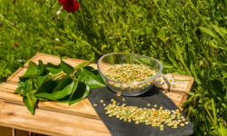 Sa Majesté la Graine - Pois Cassés HVE du Berry - Sac 5 Kg