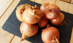 Gourmets de l'Ouest - Oignons roses de Saint-Malo