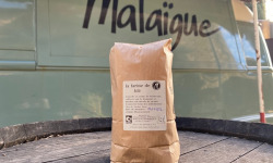 Domaine de Malaïgue - Farine de blés anciens bio - 1kg