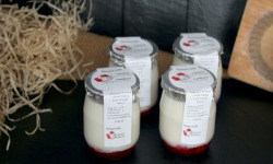 Ferme du Sire de Créquy - Panna Cotta - Framboise x4