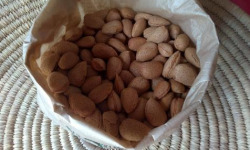 Les Amandiers de TinTin - Amandes Françaises En Coque 1kg