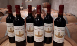 Vignobles Brunot - AOP Lussac Saint-Emilion Rouge - Château Tour de Grenet 2018 - 6x75cl