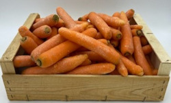 Le Panier du Producteur - Carottes - 1kg