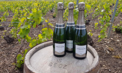 Champagne Deneufchatel - Champagne Deneufchatel Millésime 3 X 75 Cl