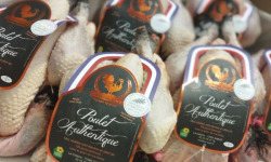 Les Volailles Loyer - Poulet Fermier Authentiques 6x1,8kg