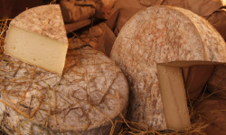 Fromagerie de la Chapelle Saint Jean - Tomme Au Foin