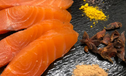 Lionel Durot - Gravlax de saumon biologique au curcuma