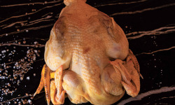 Boucherie Guiset, Eleveur et boucher depuis 1961 - Poulet Jaune Fermier-1,9kg