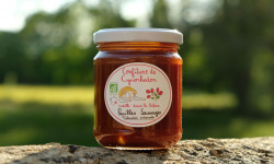 Papilles Sauvages - Confiture de Cynorhodon - Bio